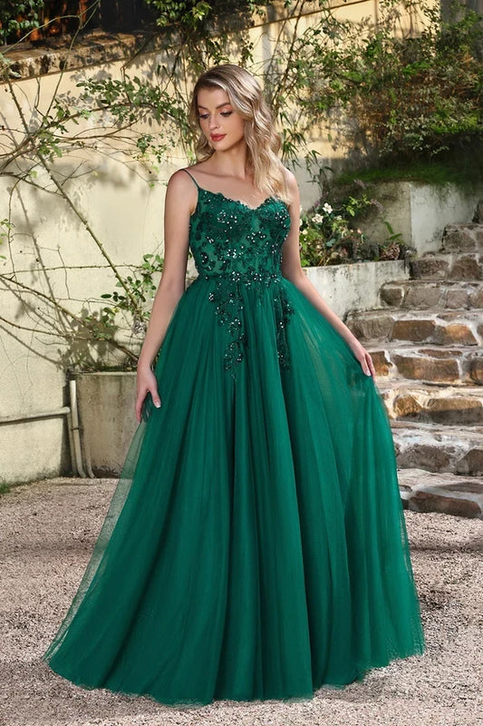 Chic A-Line Spaghetti Straps Sleeveless Slit Tulle Floor-Length Prom Dress with Appliques